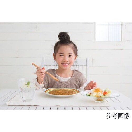 そのまんまOKカレー 単品 甘口