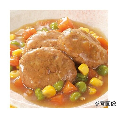レスキューフーズ 単品 煮込みハンバーグ