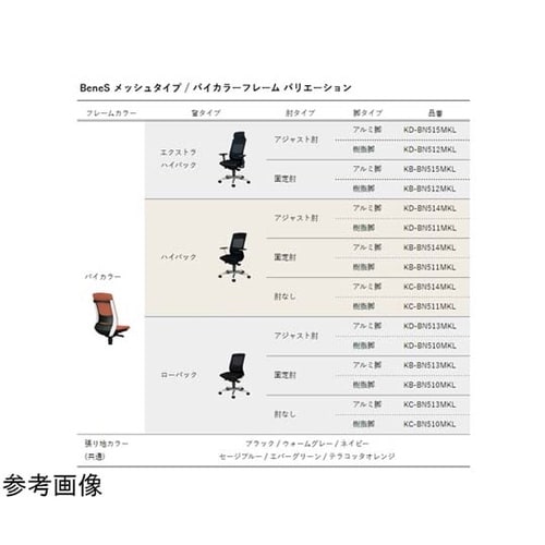 メッシュタイプ バイカラーフレーム ロー
