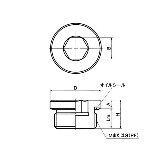 ネジコム(プラグ) フランジ付き六角穴付