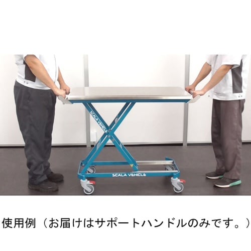 サポートハンドル SCALA VEHIC