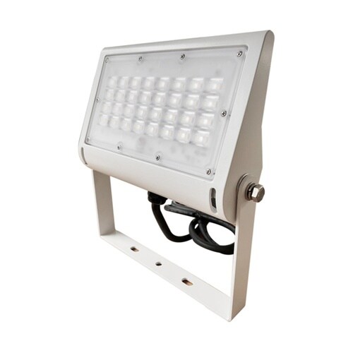 高性能LED投光器 50W RGB ホワ