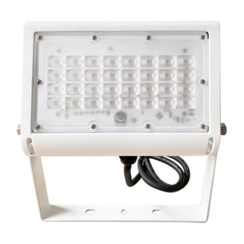 高性能LED投光器 50W RGB ホワ