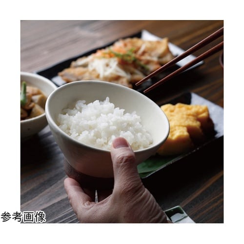 ROOMMATE 一升炊き炊飯器 加楽炊