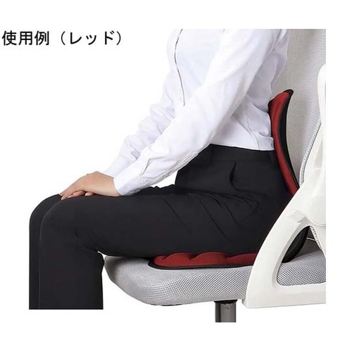 美姿勢サポートチェア スワンル ボーテ