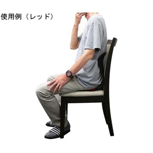 美姿勢サポートチェア スワンル ボーテ