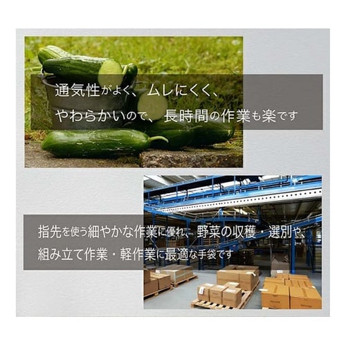 スベリ止めつき 軽作業用手袋 ブラック