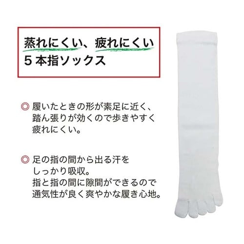 のびのびフィットソックス 5本指 白 1