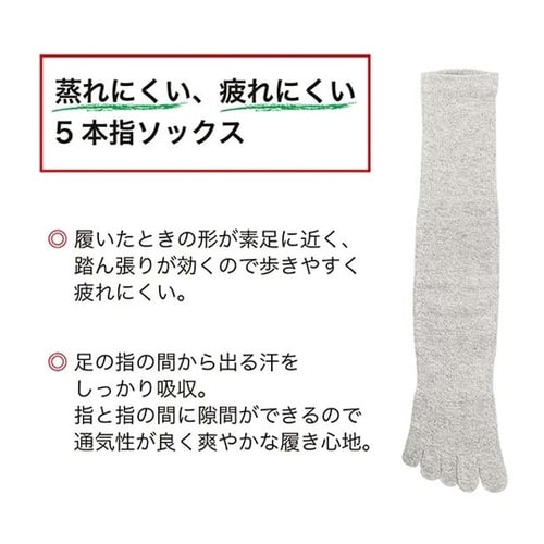 吸汗速乾ソックス 5本指 杢 1ケース(