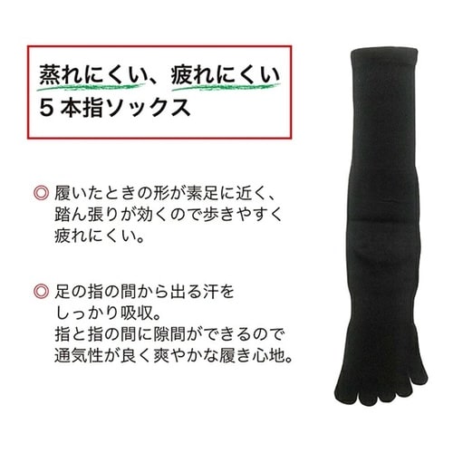 吸汗速乾ソックス 5本指 黒 1ケース(