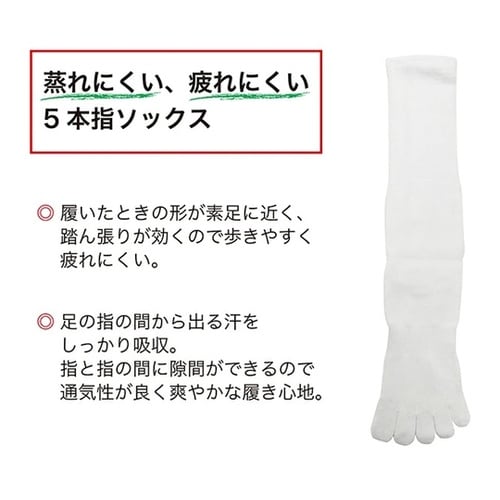 吸汗速乾ソックス 5本指 白 1ケース(