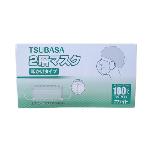 2層マスク 耳掛け 100枚入×30箱セ