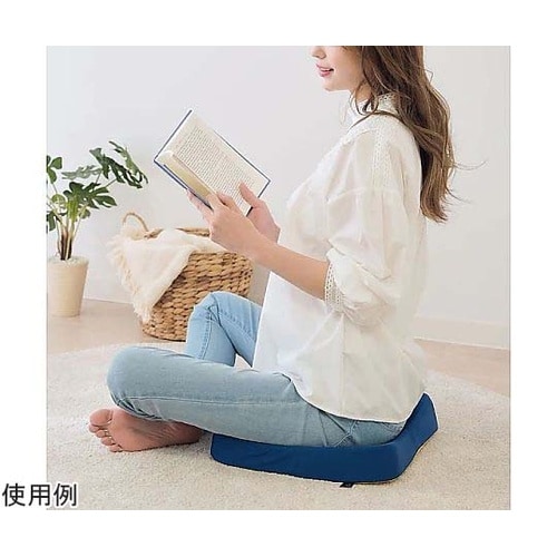 Dr.PRO低反発フィットクッション ネ