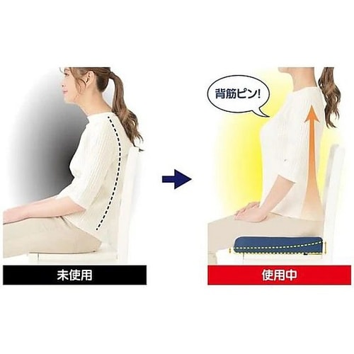 Dr.PRO低反発フィットクッション ネ