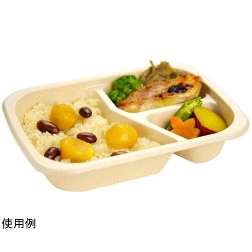 弁当容器 BBデリ 20−15−3S P