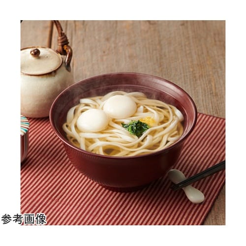 イザメシ 麺 もちもちお餅のちからうどん