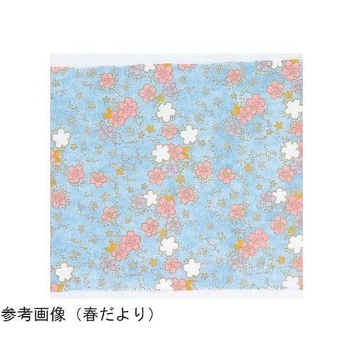 布に塗るぬりえ 花ぬりえ 姫あかり 約2