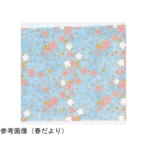 布に塗るぬりえ 花ぬりえ かくれんぼ 約