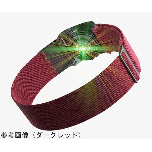 POLAR VERITY SENSE ブ