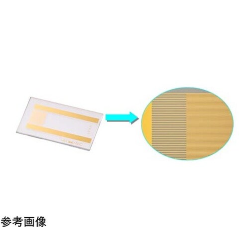 くし形電極 Au膜エッチング 20×12