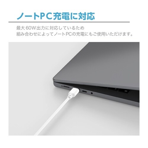 PD60W対応 CtoCケーブル 2m