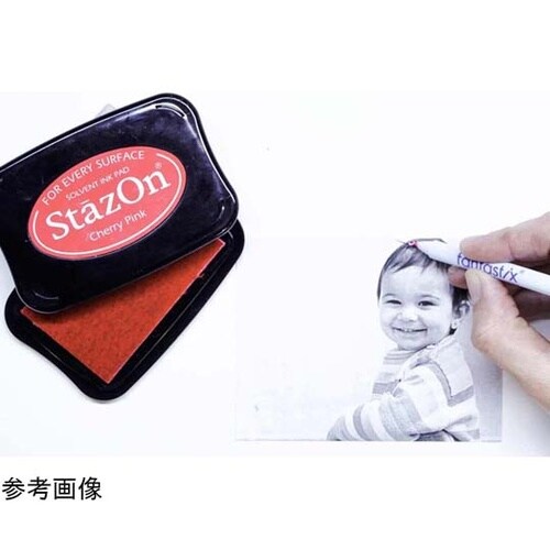 ステイズオンインカーオールマイティーイン