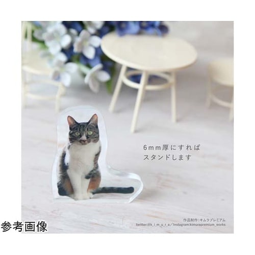クリアボード ライナーモールド2本付 P