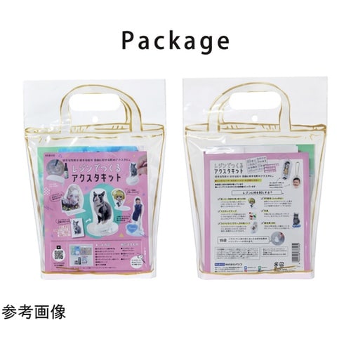 レジンキット レジンでつくるアクスタキッ