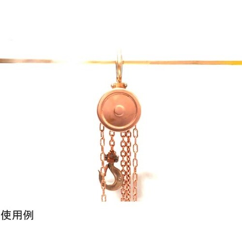 防爆チェーンブロック 1t PM1328