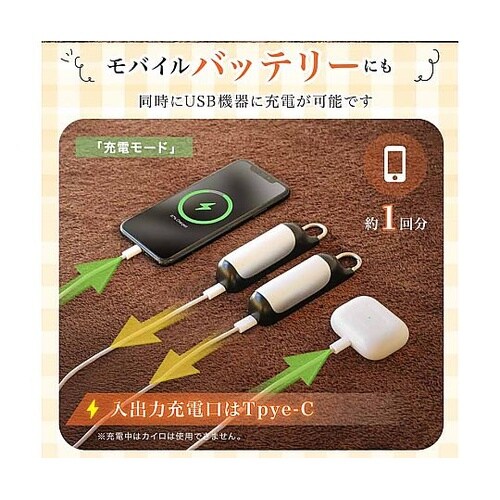 充電式カイロ enetanpo021