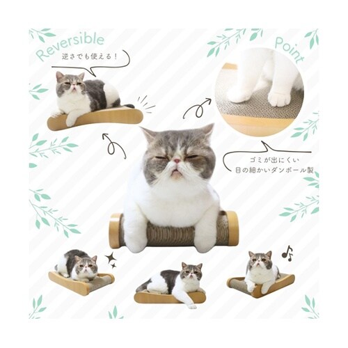 HappyDays ゴミが出にくいつめと