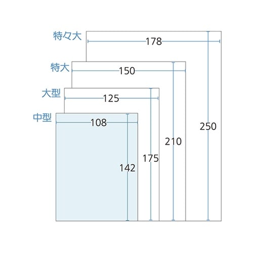 手書き内用薬袋(中型)既製品 1,000