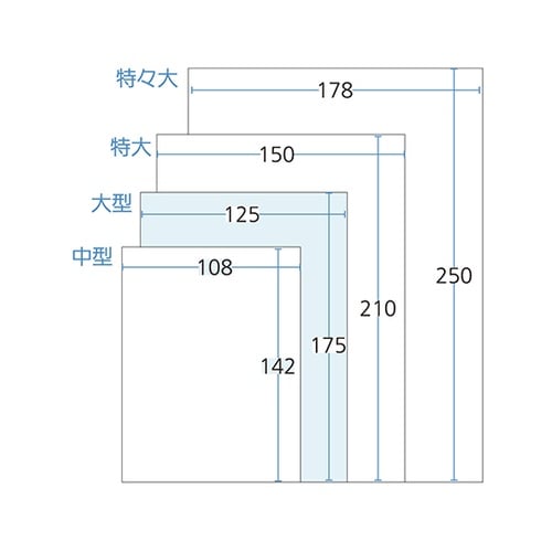 手書き内用薬袋(大型)既製品 1,000
