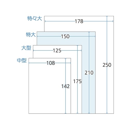 手書き内用薬袋(特大)既製品 1,000