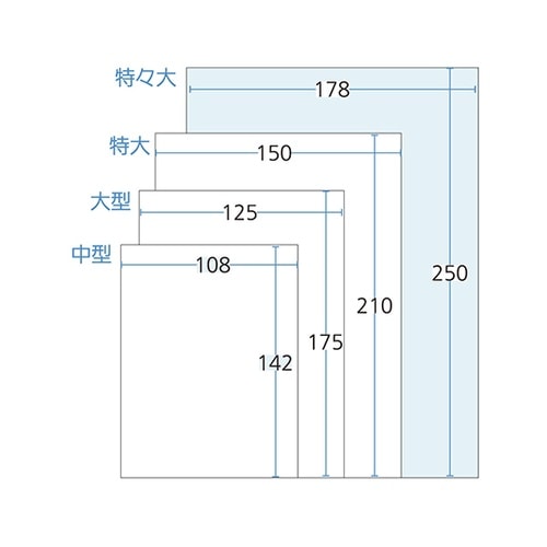 手書き内用薬袋(特々大)既製品 100枚