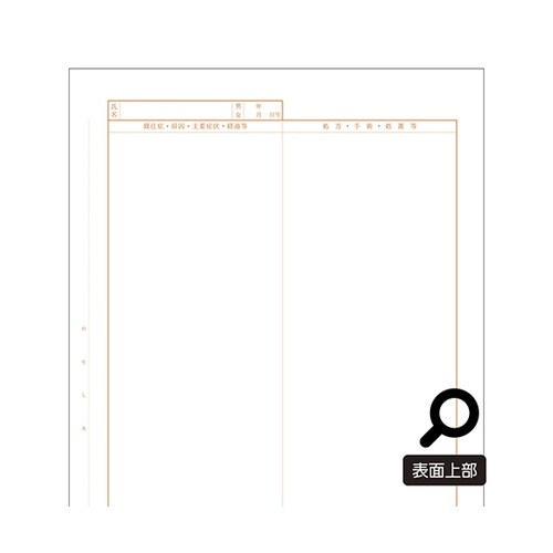 診療録(A4)社保2号紙(14号) 5冊