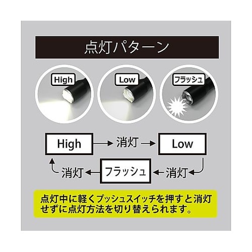 アクアフォーカスハンドライト 3×1 S