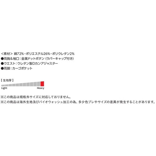 EDWIN つなぎ服 81008番101