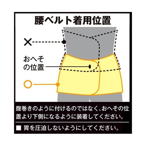 RECARO 腰部保護ベルト 864番0