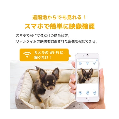 Peta Came 貼るだけ超小型防犯カ