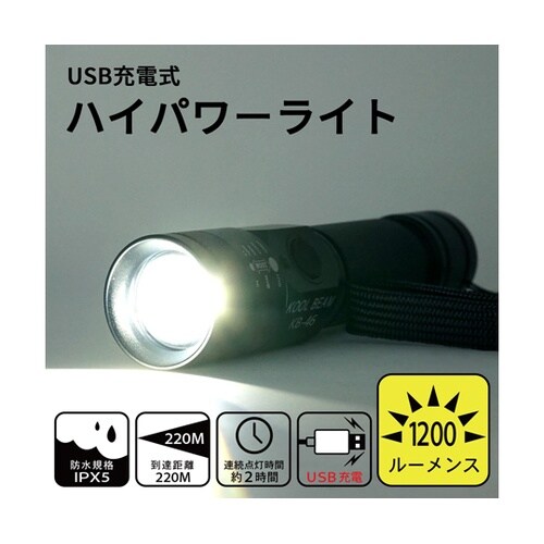 1200ルーメンス マックスLEDライト