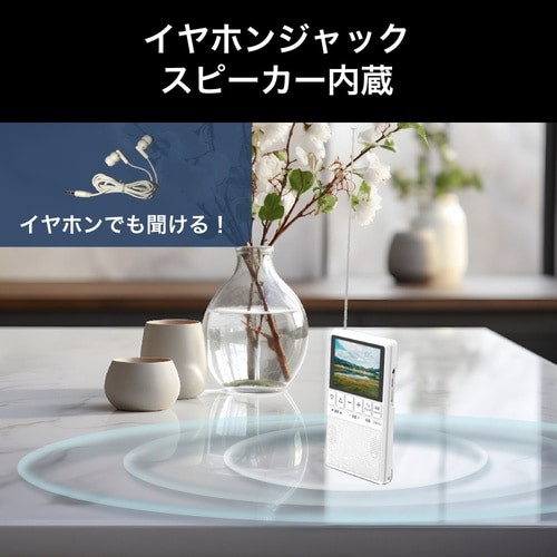 ワンセグテレビラジオ BW−RT01