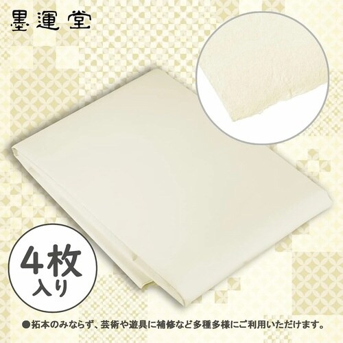 水墨画練習用紙 F6 50枚入
