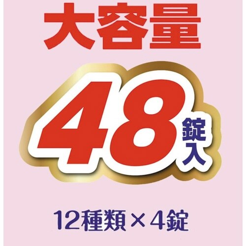 HERSバスラボクール温浴お楽しみパック48錠×6