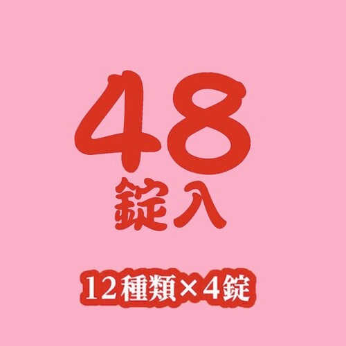 いい湯旅立ちにごり炭酸湯さわやか日和48錠×6