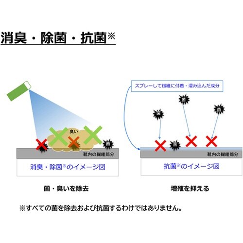 靴の消臭除菌・抗菌スプレー 420mL