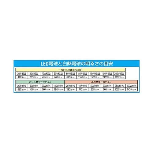 AC100V/4.2W/E26 電球/L