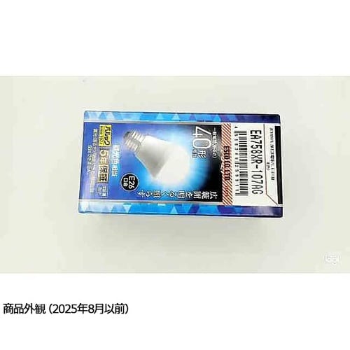 AC100V/4.2W/E26 電球/L