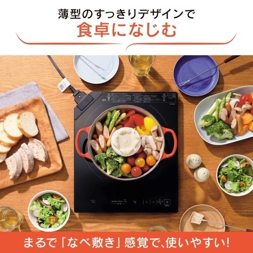 EA763AK−21D AC100V/1300W