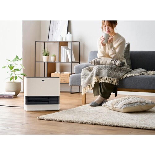 EA897CW−73A AC100V/1250W